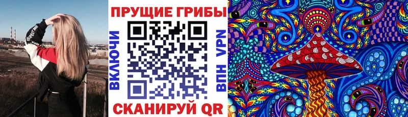 где купить наркоту  Дыгулыбгей  blacksprut tor  Псилоцибиновые грибы мицелий 