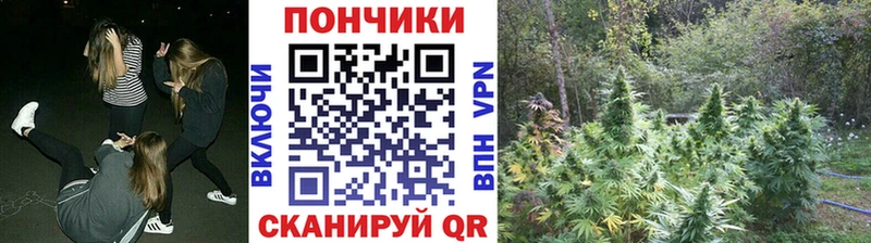 Конопля White Widow  Дыгулыбгей 
